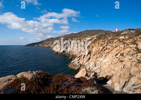 Punta di Capel Rosso und Cala Schizzatoio, Insel Giglio, Grosseto, Toskana, Italien Stockfoto