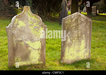 getragen von Grabsteinen / Grabsteine in Flechten bedeckt. Stockfoto