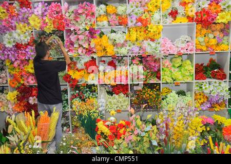 Santiago Chile,Barrio Patronato,Antonia Lopez de Bello,Shopping Shopper Shop Shops Markt Kauf Verkauf,Store Geschäfte Business Unternehmen,Wohnkultur, Stockfoto