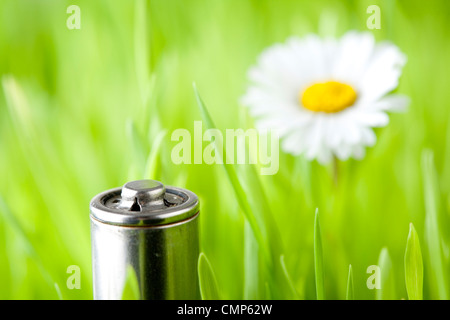 Batterie ein frisches Gras Stockfoto