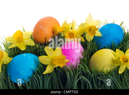 Eine Gruppe von bunt gefärbten Ostereier und Blumen im Rasen Stockfoto