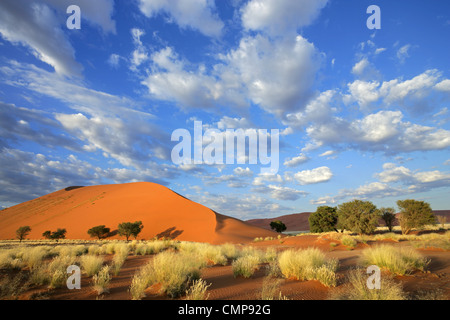 Landschaft mit Wüste Gräser, große Sanddüne und Himmel mit Wolken, Sossusvlei, Namibia, Südliches Afrika Stockfoto