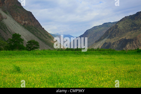 Fluss-Schlucht in den Bergen Chulyshman russischen Altai Stockfoto