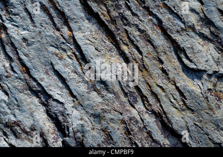 Verwitterter Fels Oberfläche - Shoreline SW von Looe, Mid-Cornwall. Konzept 'fallen auf steinigem Boden", Warnungen oder Hinweise ignoriert. etc. Internationale Rock Tag. Stockfoto