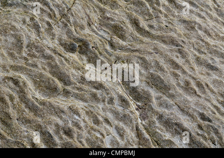 Verwitterter Fels Oberfläche - Shoreline SW von Looe, Mid-Cornwall. Konzept 'fallen auf steinigem Boden", Warnungen oder Hinweise ignoriert. etc. Internationale Rock Tag. Stockfoto