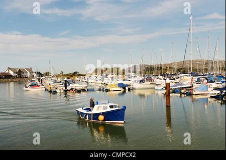 Conwy Quays Marina an der Mündung des Flusses Conwy, Gwynedd, Nordwales, UK Stockfoto