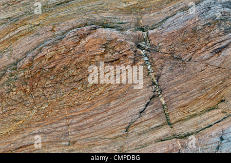 Verwitterter Fels Oberfläche - Shoreline SW von Looe, Mid-Cornwall. Konzept 'fallen auf steinigem Boden", Warnungen oder Hinweise ignoriert. etc. Internationale Rock Tag. Stockfoto