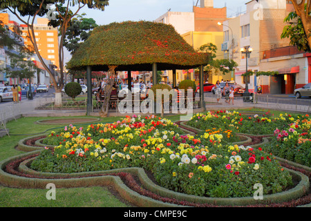 Tacna Peru, Avenida San Martin, Plaza de Armas, öffentlicher Platz, Park, Blumenbeet, Landschaft, Pergola, Nachmittag, Bummeln, Peru120119097 Stockfoto