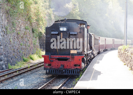 Ziehen einen Personenzug auf der Welsh Highland Railway Dampflok Stockfoto