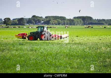 Traktor und Rasenmäher am frühen Morgen im Sommer Stockfoto