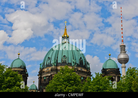 Obersten Pfarrkirche und Stiftskirche, Berliner Dom, Oberpfarr-Und Domkirche, Berliner Dom, Fernsehturm Berlin, Deutschland Stockfoto