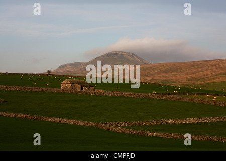 Cloud-streaming über den Gipfel des Pen-y-Gent Ribblesdale North Yorkshire England Stockfoto