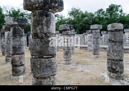 Plaza der Tausend Säulen Chichen Itza Mexiko | CHICHEN ITZA, Mexiko — Verwitterte Steinsäulen der Plaza der Tausend Säulen stehen in dichten Reihen nördlich des Tempels der Krieger in Chichen Itza. Während der Postklassik, etwa 900 bis 1200 n. Chr., erbaut, stützte die Säulenhalle einst ein großes, verrottbares Dach über einem Bereich, der nach Meinung von Gelehrten als Markt oder öffentlicher Versammlungsraum diente. Schutt-Mörtel-Kerne sind durch erodierten Stuck an den Säulenschäften sichtbar. Stockfoto