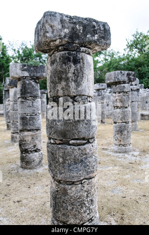 Chichen Itza Plaza of the Thousand Columns Mexico // CHICHEN ITZA, Mexiko — die Plaza of the Thousand Columns erstreckt sich nördlich des Tempels der Krieger in der alten Maya-Stadt Chichen Itza. Diese weitläufige Kolonnade, die in der Nachklassik (900-1200 n. Chr.) errichtet wurde, besteht aus mehreren Reihen von Steinsäulen, die einst eine massive Dachkonstruktion trugen. Die plaza war Teil eines größeren Komplexes, der wahrscheinlich als Versammlungsort für bürgerliche und zeremonielle Aktivitäten diente. Stockfoto