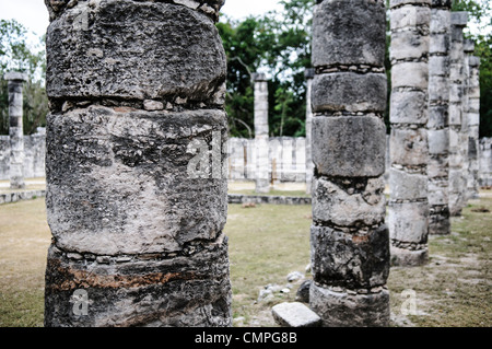 Plaza der tausend Säulen Chichen Itza Mexiko // CHICHEN ITZA, Mexiko — die Plaza der tausend Säulen erstreckt sich nördlich des Tempels der Krieger in der alten Maya-Stadt Chichen Itza. Diese weitläufige Kolonnade, die in der Nachklassik (900-1200 n. Chr.) errichtet wurde, besteht aus mehreren Reihen von Steinsäulen, die einst eine massive Dachkonstruktion trugen. Die plaza war Teil eines größeren Komplexes, der wahrscheinlich als Versammlungsort für bürgerliche und zeremonielle Aktivitäten diente. Stockfoto