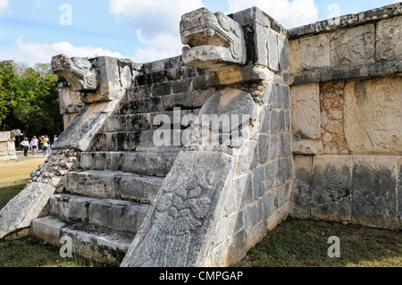 Chichen Itza gefiederte Schlangenkopf Steintreppe Yucatan Mexico // Steintreppe führt zur Spitze einer zeremoniellen Plattform, mit geschnitzten jaguar Köpfen, die beide Seiten bewachen, in der Chichen Itza Archological Zone, Yucatan, Mexiko. Stockfoto