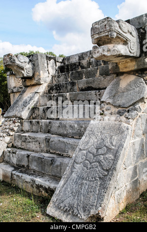 Chichen Itza geschnitzte Jaguar Köpfe Steintreppen Mexiko // Steintreppen führen zur Spitze einer zeremoniellen Plattform, wobei geschnitzte jaguar Köpfe beiderseits bewachen, in der Chichen Itza Archological Zone, Yucatan, Mexiko. Stockfoto