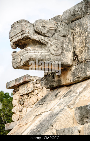 Chichen Itza Jaguar Head Carving Mexico // CHICHEN ITZA, Mexiko – Jaguar Head in Stein in den Ruinen der Maya-Zivilisationen Chichen Itza in Mexiko gemeißelt. Stockfoto
