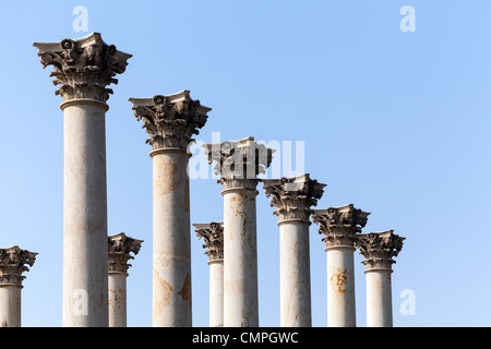 Alten Marmorsäulen von Capitol building in National Arboretum in Washington, D.C. Stockfoto
