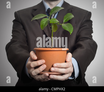 Geschäftsmann hält eine Pflanze im Topf. Auf dunklem Hintergrund Farbverlauf Stockfoto