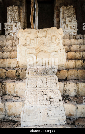 EK BALAM, Mexiko - geschnitzten Verzierungen am unteren Ende der Treppe auf die Akropolis auf der nördlichen Seite der Ek' Balam archäologische Stätte auf der mexikanischen Halbinsel Yukatan. Es war einst eine blühende Stadt der Maya Zivilisation dating bis Ende der Klassischen Periode. Es ist 30 km nördlich von Valladolid und ist für "Black Jaguar" ein charakteristisches Motiv der gesamten Website genannt. Stockfoto