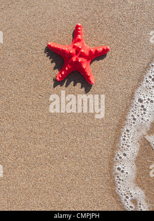 Seesterne und Welle am Sandstrand - Sommer-Konzept Stockfoto