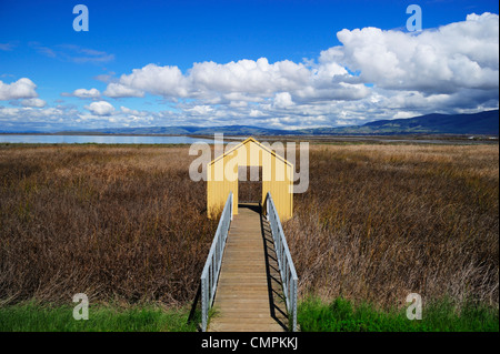 Die alviso Marina County Park, San Jose, CA Stockfoto