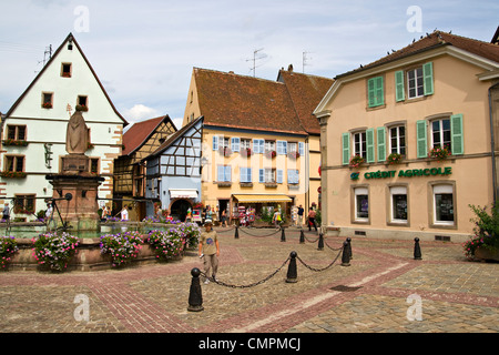 Alte Häuser im Dorf Eguisheim im Elsass/Frankreich Stockfoto