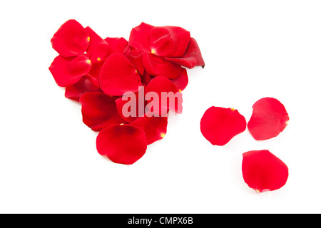 rote Rosenblätter in Form von Herzen auf weißem Hintergrund Stockfoto