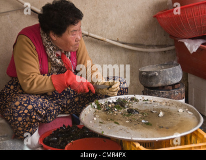 Lady, die Reinigung der Muscheln am Fischmarkt, Buson Korea Stockfoto