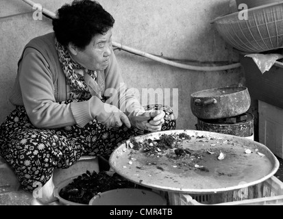 Lady, die Reinigung der Muscheln am Fischmarkt Buson Korea Stockfoto