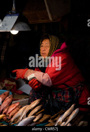 Lady Fisch auf Jagalchi Markt zu verkaufen. Buson Südkorea Stockfoto