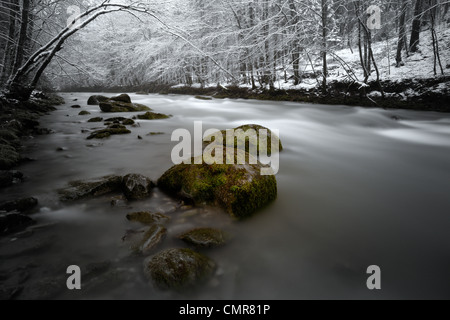 Gebirgsfluss durch den winterlichen Wald schweben. Stockfoto