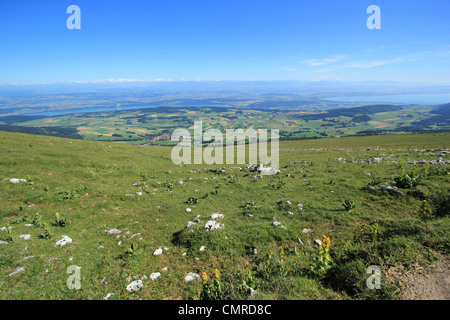 Blick auf die Alpen Range Berge vom Mount Chasseral, Jura, Schweiz, vom schönen Wetter Stockfoto