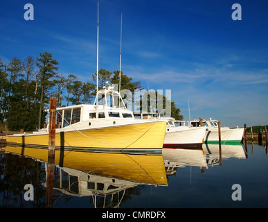 Bunte Auster Boote im Wasser am Yachthafen. Stockfoto