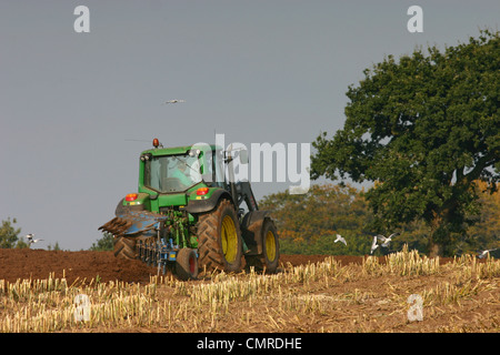 Grüner Traktor Gerste im Feld pflügen Stockfoto