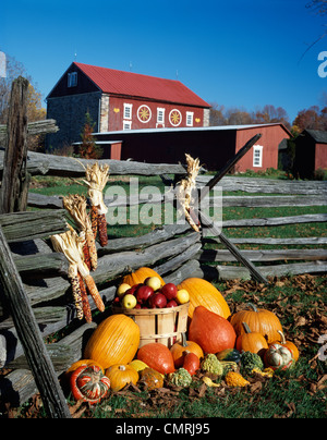 1970ER JAHRE HERBST SCHEUNE MIT ANZEIGE DER ERNTE DER KÜRBISSE VON SPLIT ZAUN Stockfoto