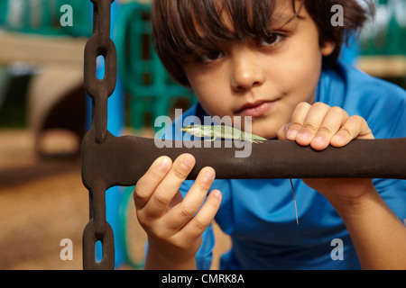 Gemischte Rassen junge Blick auf Eidechse Stockfoto