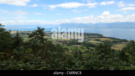 Panoramablick über den Genfer See und die Landschaft der Kanton Waadt vom schönen Wetter, Schweiz Stockfoto