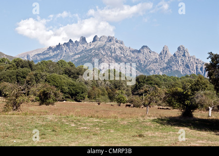 Die gezackten Gipfel der Aiguilles de Bavella, von der Stadt Quenza aus gesehen, in der südlichen Region Alta Rocca von Korsika, Frankreich. Stockfoto