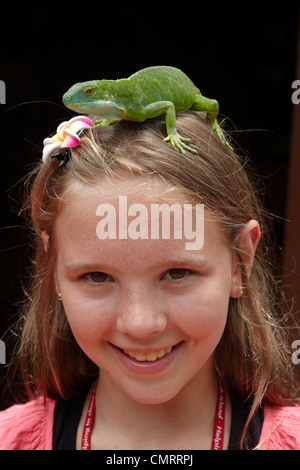 Mädchen und weibliche Fidschi gebändert Leguan (Brachylophus Fasciatus), Kula Eco Park, Coral Coast, Viti Levu, Fidschi, South Pacific Stockfoto