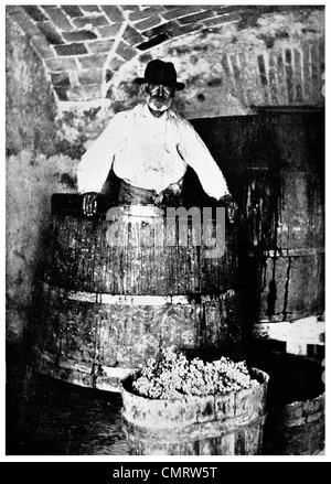 Fass 1918 alte Mann Crushing Trauben in riesigen Fässern Wein von San Marino Stockfoto