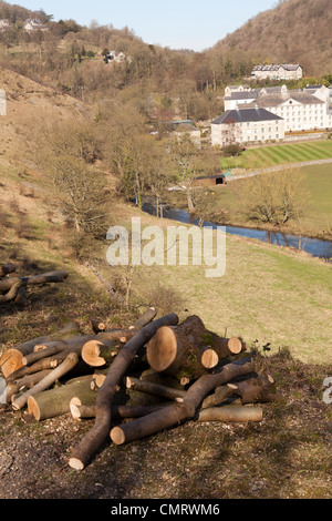 Der monsal Trail in Derbyshire. Cressbrook Mühle Stockfoto