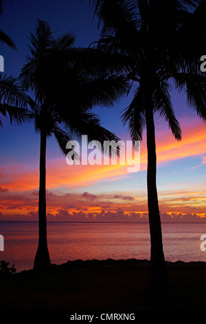 Sonnenuntergang und Palmen Bäume, Coral Coast, Viti Levu, Fidschi, Südpazifik Stockfoto