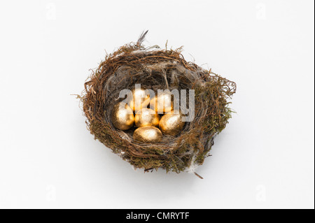 Goldenen Eiern in ein Vogelnest auf weißem Hintergrund Stockfoto