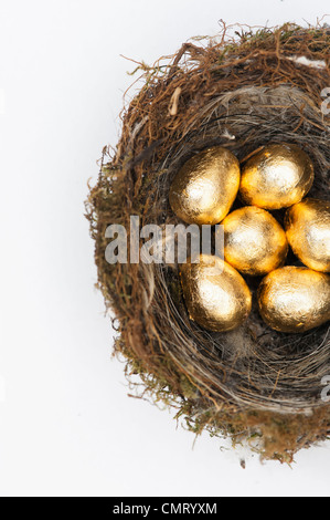 Goldenen Eiern in ein Vogelnest auf weißem Hintergrund Stockfoto