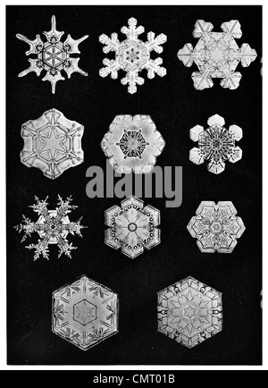 Schnee Kristall geometrische Formen Schneeflocke Weihnachten Stockfoto