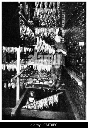 1923-Hering-Räucherei geräucherte Lockeport Nova Scotia Stockfoto