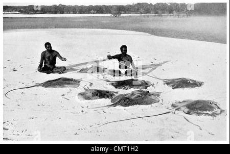 1924 Stingray Aborigines Jäger Australien Nordwestküste aufgespießt Sonntag Insel in Napier Broome Schach Stockfoto