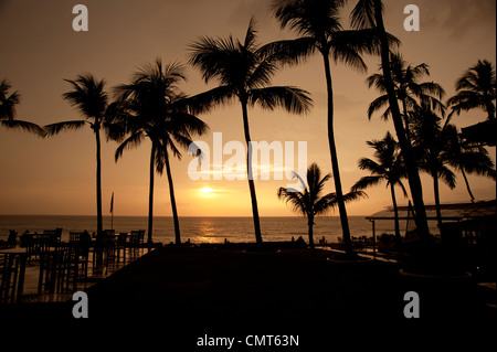 Palmen, die Silhouette gegen einen Sonnenuntergang in Colombo Sri Lanka Stockfoto